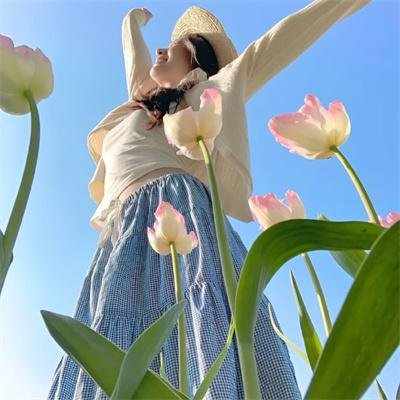 金三角大营救