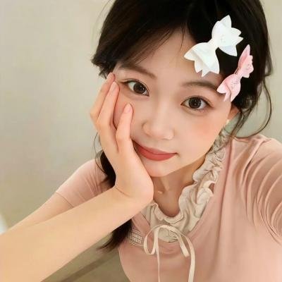 方案